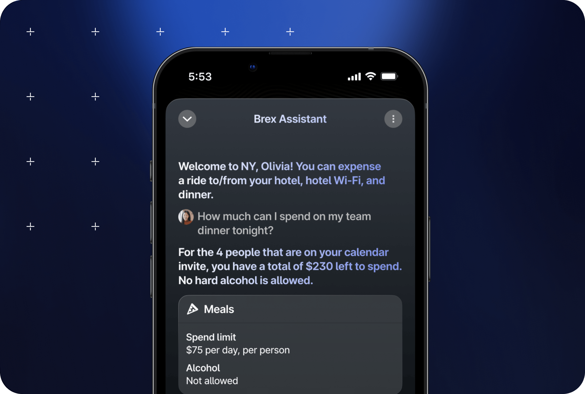 The Brex Assistant telling Olivia she can expense a ride from her hotel, hotel Wi-Fi, and dinner for her team dinner. It then shows athat the team has a total of $230 left to spend on meals for the days.