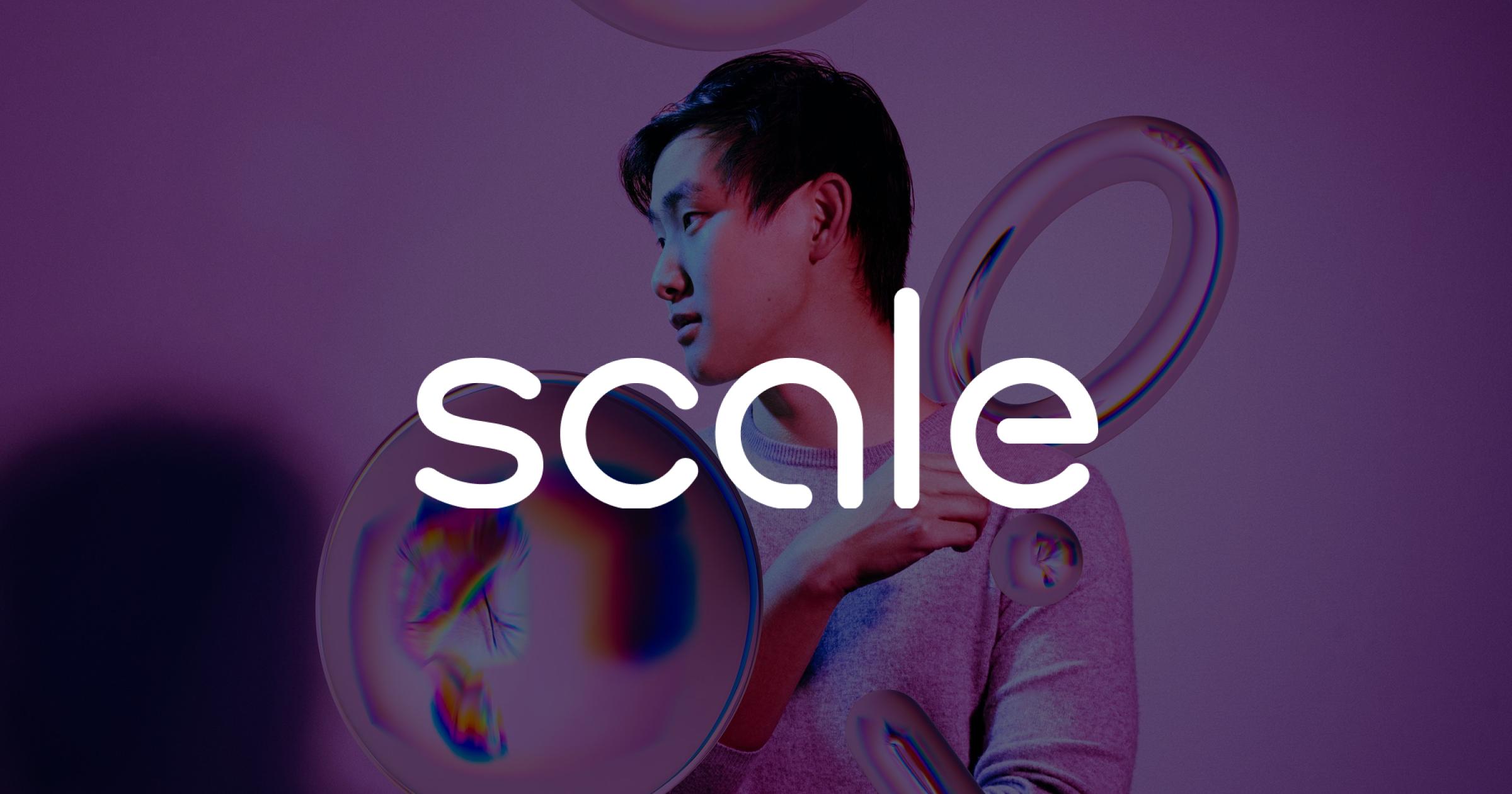 Scale article preview