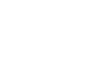 FMX-logo
