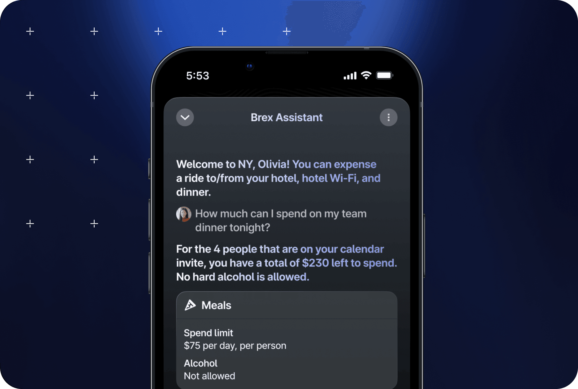 The Brex Assistant telling Olivia she can expense a ride from her hotel, hotel Wi-Fi, and dinner for her team dinner. It then shows athat the team has a total of $230 left to spend on meals for the days.