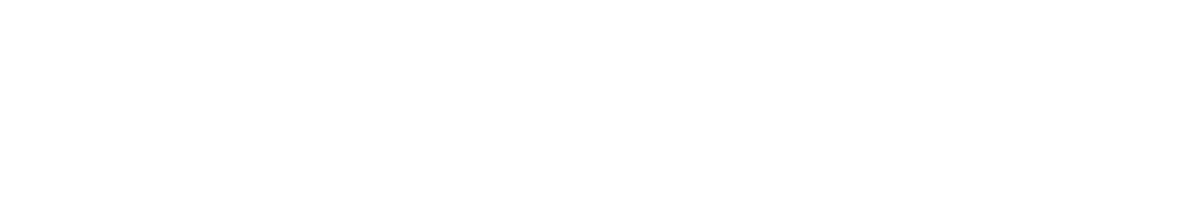Assembly AI Blk