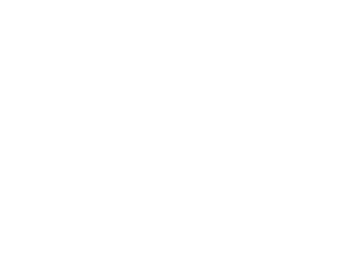 FMX-logo
